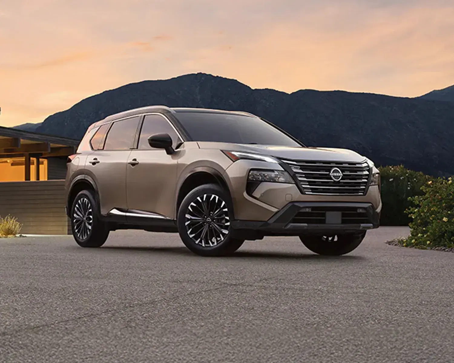 Nissan Rouge - View 1