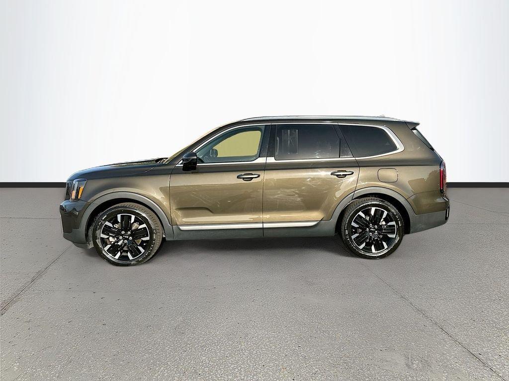 Kia Telluride Sx - Thumbnail 5