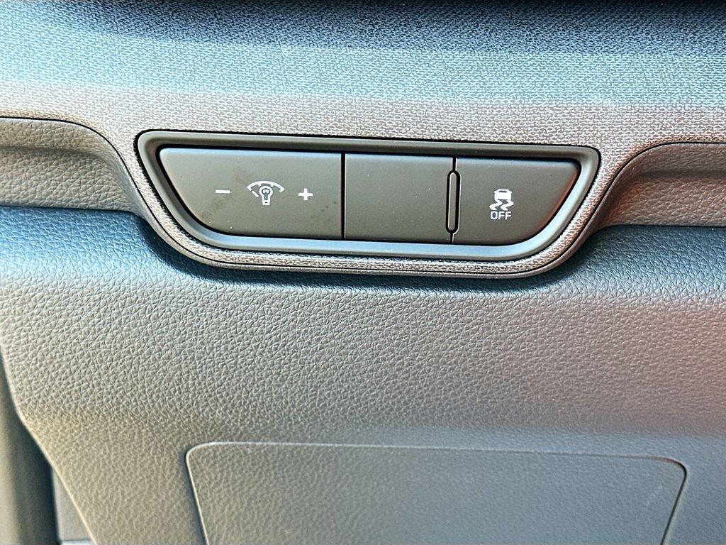 Kia Carnival Mpv Ex - Thumbnail 11