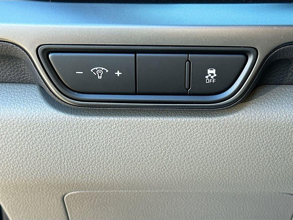 Kia Carnival Mpv Lxs - Thumbnail 11