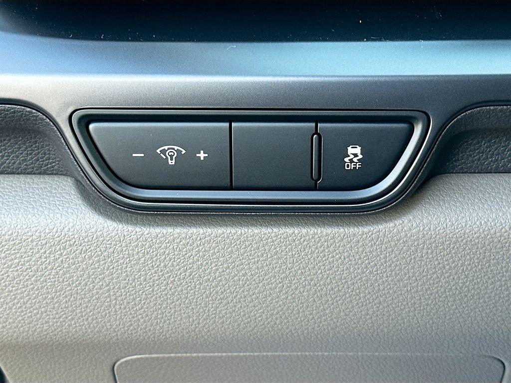 Kia Carnival Mpv Lxs - Thumbnail 11