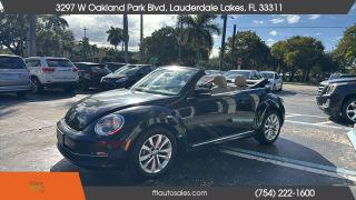 Volkswagen Beetle - Thumbnail 12