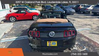 Ford Mustang - Thumbnail 14