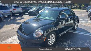 Volkswagen Beetle - Thumbnail 11