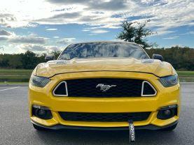 Ford Mustang - Thumbnail 3