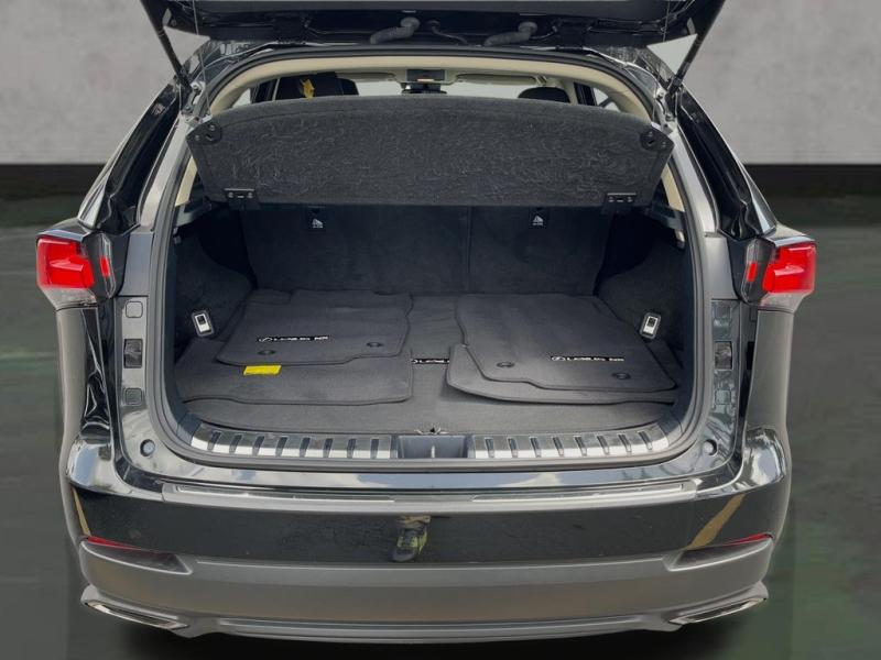 Lexus Nx - Thumbnail 20