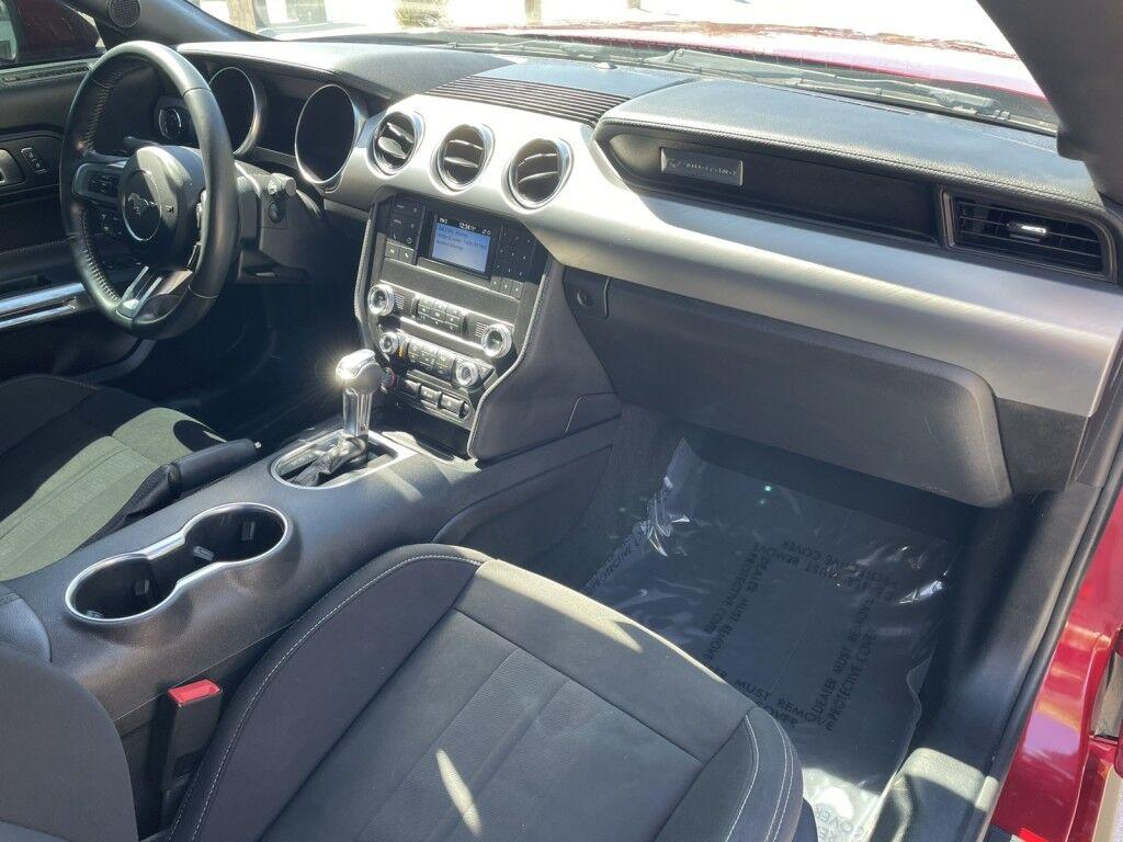 Ford Mustang - Thumbnail 9