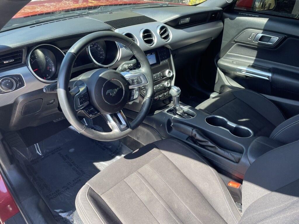 Ford Mustang - Thumbnail 12