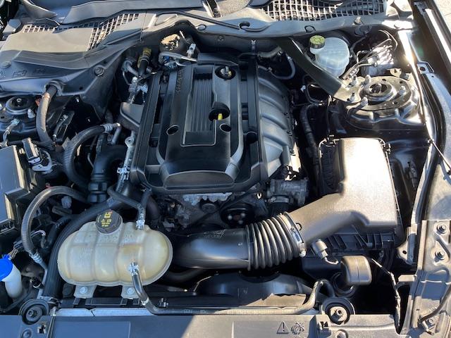 Ford Mustang - Thumbnail 13