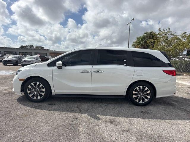 Honda Odyssey Ex-L In Hollywood Fl | 5Fnrl6H76Mb045261 | Toyota Of Hollywood'S Amazinn Used Cars - Thumbnail 5