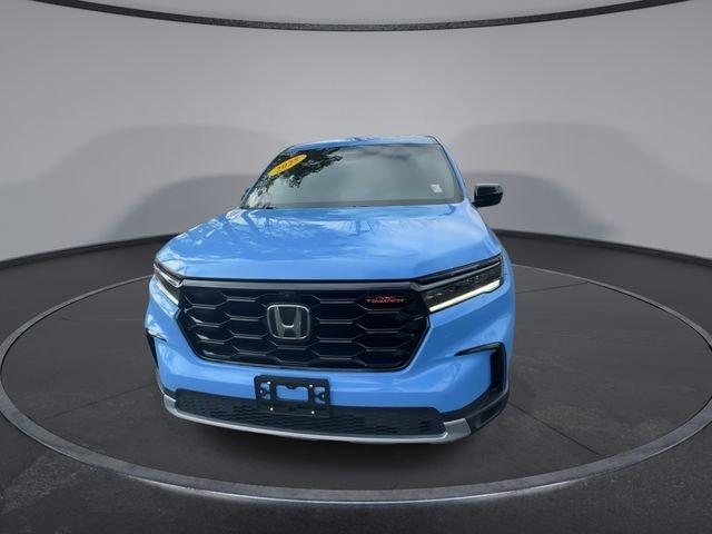 Honda Pilot Trailsport Awd - Thumbnail 6