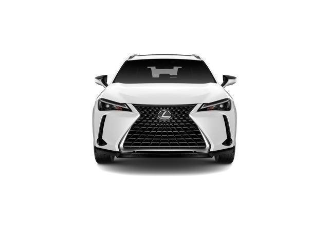Lexus Ux Premium - Thumbnail 20