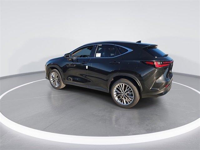 Lexus Nx Luxury Awd - Thumbnail 20