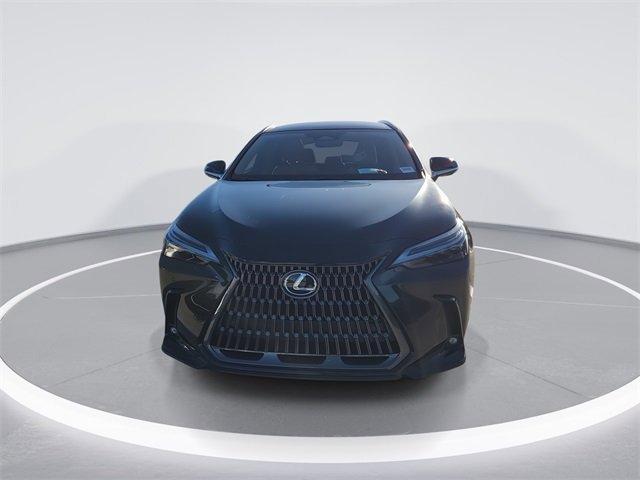 Lexus Nx Luxury Awd - Thumbnail 18