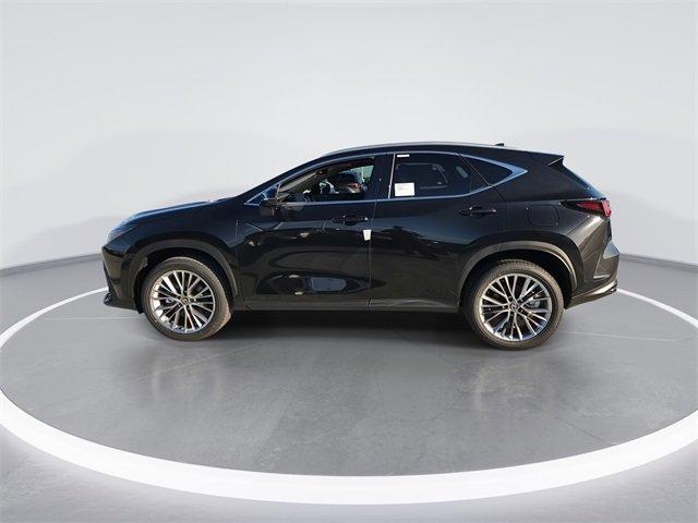Lexus Nx Luxury Awd - Thumbnail 20