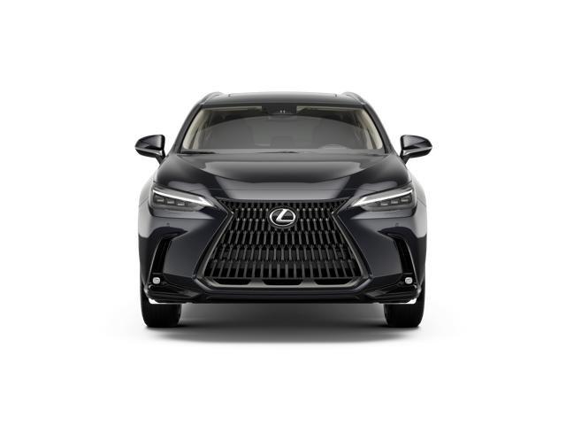 Lexus Nx Luxury Awd - Thumbnail 11
