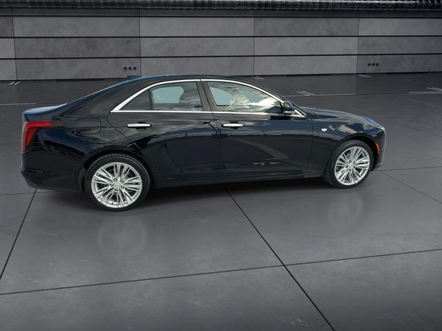 Cadillac Ct4 Premium Luxury - Thumbnail 10