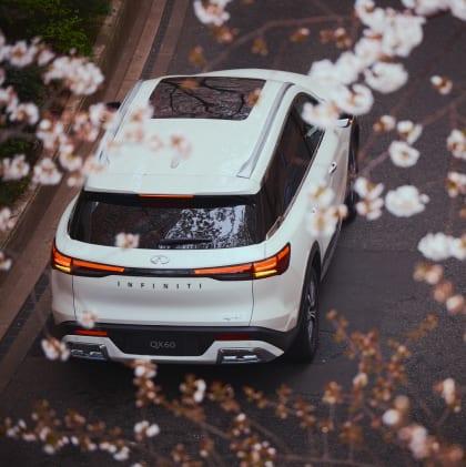 Infiniti Qx60 Specs & Details | Taverna Infiniti North Miami - Thumbnail 18